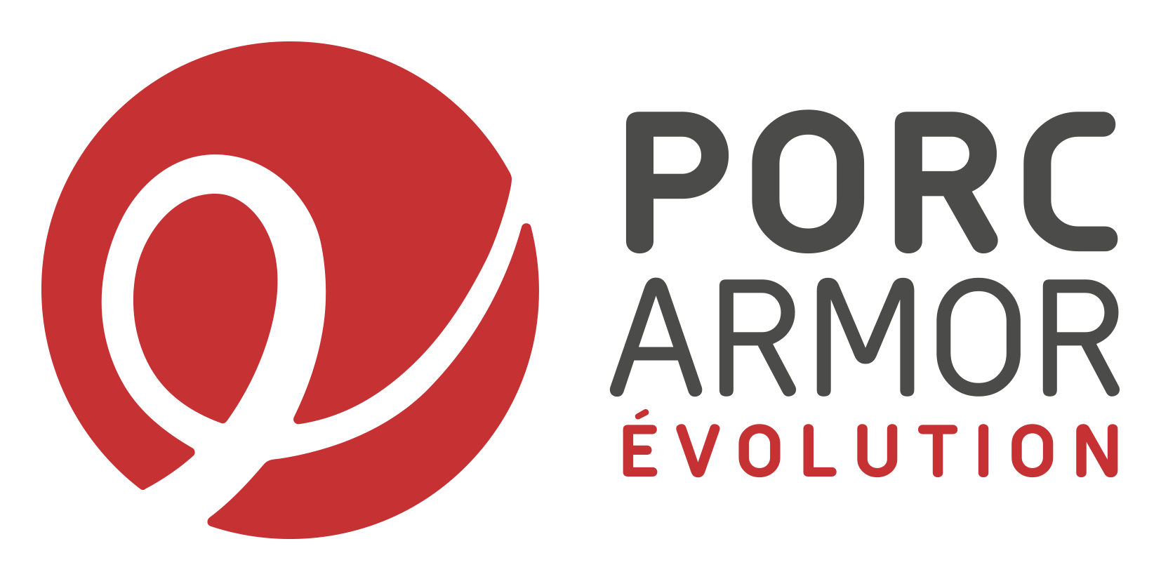 porc-armor-identification